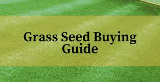 Check spelling or type a new query. Best Grass Seed Reviews Uk Lawn Mower Hut