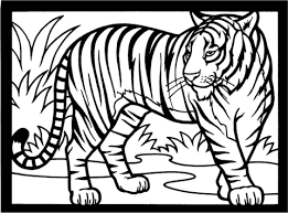 For boys and girls, kids and adults, teenagers and toddlers, preschoolers and older kids at school. Tiger Coloring Page Tiger Drawing For Kids Tiger Drawing Animal Coloring Pages