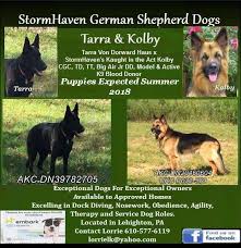 We are a small hobby german shepherd kennel in southeastern pennsylvania, about an hour outside of philadelphia. Facebook