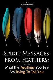 Spirit Messages From Feather What The Feathers You Find Mean In 2020 Spirit Messages Black Feather Meaning Feather Tattoo Meaning