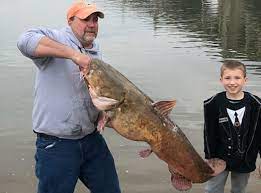 New Top Monster Pulled From Susquehanna River And Then Returned Alive Pennlive Com