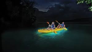 Bioluminescent Bay Puerto Rico Boat Tours Vieques The Best Preserved Bio Bay Puerto Rico Tour Desk Bioluminescent Bay Bioluminescent Bay Puerto Rico Kayaking