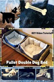Maybe you would like to learn more about one of these? Animal Diy Video Tutorial Dogs Pallet Dog Bed Rec In 1001 Pallets Ideas Scoop It
