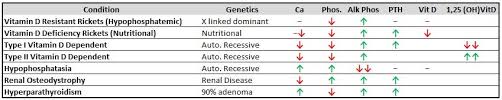 Rickets Basic Science Orthobullets