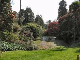 The Lost Gardens Of Heligan Lost Gardens Of Heligan Lost Garden Cornwall England