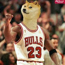 1080 x 1080 doge doge memes 1080x1080 pixels page 2 line. Bulls Talk On Twitter Everyone Checking Dogecoin Tonight