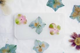 We did not find results for: 40 Stunning Pressed Flower Art Ideas Cool Crafts
