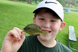 Just a few pictures from the **2024 Pine Lake Kids Fishing Derby** Saturday  May 11th Many, many, more** (100+) pictures** from this event can be found 