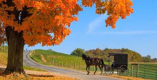 We offer lots of customizable options and excellent quality we're located in the rochester, henrietta, greece, monroe county, new york area. Amish Furniture At Ruby Gordon Home In The Rochester Henrietta Greece Monroe County New York Area