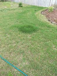 When should you put down milorganite? Milorganite Spill Lawncare