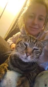 Hi all My baby boy Holden got hit by a car over a month ago now and I cry  every night as he never came back home. I searched everywhere for him