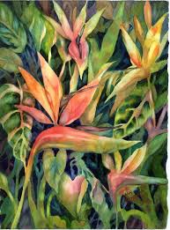 Bird Of Paradise Plant For Sale Near Me Birds Of Paradise By Ann Nicholson In 2020 Paradise Painting Birds Of Paradise Flower Art