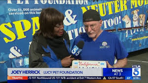 A registered 501 (c) (3) animal charity dedicated to stopping the 80,000 dogs and cats a. World Spay Day 2019 With The Lucy Pet Foundation Ktla
