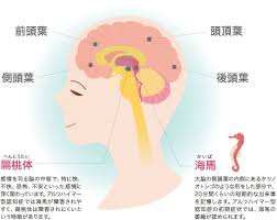 このアカウントには、性的興奮を催すリンクや破廉恥な画像を多数含みます。 もし嫌悪感を感じたらミュートないしはブロック下さい。 #uncensored #無修正 #pornstar #av女優. èªçŸ¥ç—‡ã®äºˆå…†ã¨äºˆé˜²ã«ã¤ã„ã¦æ•™ãˆã¦ãã ã•ã„ è¬å¯¿ã®ã—ãšãå…¬å¼ãƒãƒƒãƒˆã‚·ãƒ§ãƒƒãƒ—