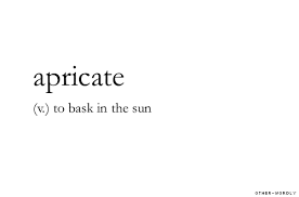 V To Bask In The Sun Uncommon Words Unusual Words Aesthetic Words