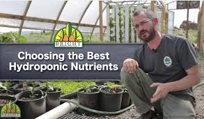 In hydroponics there is no need of soil. The Best Hydroponic Nutrients For Your System Youtube