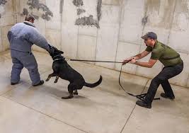 Police de-escalation trainings help simulate crisis response