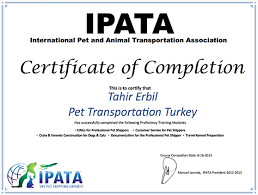 With a team of pet travel experts focused specifically on international travel, we can take care of everything. Certification Ipata Pet Transportation Turkey