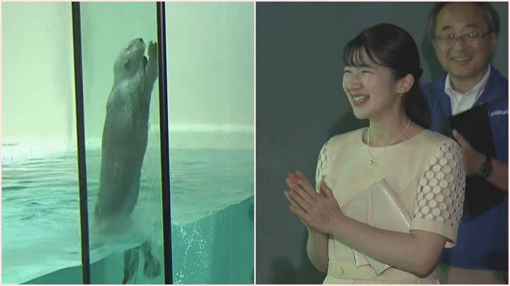 ラッコの“イカ耳ジャンプ”も鑑賞…週末に三重県を訪問された愛子さま 式年遷宮に向けた「お木曳」にも笑顔で参加（東海テレビ）｜ｄメニューニュース（NTTドコモ）