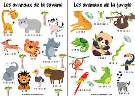 Nndopbu4gqrl6m Animaux domestiques, animaux de la ferme et de la mer, animaux préhistoriques et animaux de la forêt entre autres. https blogueapart com 2020 08 11 mes imagiers