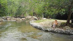 Lihat tempat percutian yang menarik di malaysia dengan mempunyai pemandangan yang amat cantik dan mulakan perancangan percutian dengan kawan selain itu, berapa tempat isthirahat yang dibina di dalam hutan telah menarik perhatian sebgai percutian keluarga untuk merapatkan tali silaturahim. Tempat Menarik Di Raub Teamtravel My