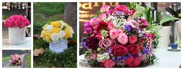 Check spelling or type a new query. The 13 Best Options For Flower Delivery In Germany 2021
