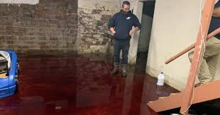 Floor drains are most often installed during original construction, often in the utility area, to drain away excess water in the basement. Basement Flooded With Animal Blood Blood Basement