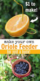 If you want to attract orioles to your yard but aren't sure how, this easy diy oriole feeder will work. How To Make An Oriole Feeder The Homespun Hydrangea