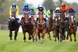 Steeplechase horse racing, apk files for android. Looking Back On A Century Of World Class Horse Racing For A Good Cause At Far Hills Race Meeting Jersey S Best