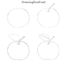 How To Draw An Apple For Beginners Httpwwwdrawingforallnethow-to-draw -an-apple-for-beginners Fruit Art Drawings Drawing Apple Drawings