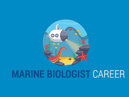 The national average salary for a marine biologist is $51,331 per year in united states. Marine Biologist Career What Do Marine Biologists Do Earth How