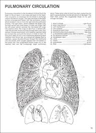 We did not find results for: Human Anatomy Coloring Book Dover Publications 9780486241388