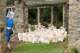 #dog #animals #corgi #curious #trying. Happy Birthday To The Queen Of Corgis Animal Life