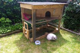 Egal, ob du in eine neue wohnung einziehst oder bereits länger in einer lebst, du solltest in deinen mietvertrag schauen, um herauszufinden, ob du haustiere halten darfst. Kaninchen Haltung Kafig Stall Und Gehege