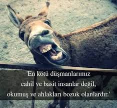 Okumus Cahiller Ile Ilgili Sozler Guzel Soz Ozlu Sozler Edebiyat