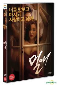 A woman's life is shaken up after meeting her sister's fiancee in this drama. Yesasia Affair Dvd Korea Version Dvd Video Travel Korea Movies Videos Free Shipping North America Site