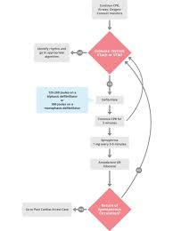 Acls Cardiac Arrest Vtach And Vfib Algorithm 1 Perform The Initial Assessment Perform High Quality Cpr Establish An Airway And Pro Acls Acls Algorithm Cardiac