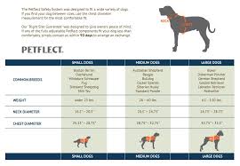 Boxer Size Chart Dog Bing Images