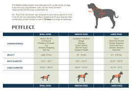 boxer size chart dog bing images