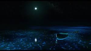 Download, share or upload your own one! Free Download Life Of Pi Wallpaper Hd Life Of Pi Dark Download Wallpapers On 1920x1080 For Your Desktop Mobile Tablet Explore 42 Life Of Pi Wallpapers Life Of Pi