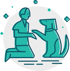 Pet fit animal rehabilitation and fitness. Expert Veterinary Care In Memphis The Pet Hospitals