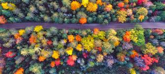 Maybe you would like to learn more about one of these? 4 Expert Tips On Renting A Car For Thanksgiving Travel Hacker Blog