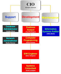 beauty salon example 1 3 organization chart for cis department