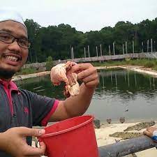 Come along and bring your family. Taman Sarang Buaya Antara Tarikan Menarik Di Tanjung Langsat Pasir Gudang