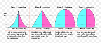 Working age population will be less than 60% of total population at year 2059. Dtm Pyramids Demographic Transition Model Stages Population Pyramids Hd Png Download Vhv