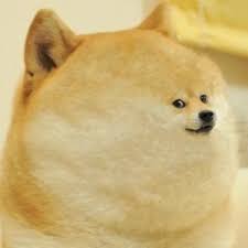 Dogetizer is a highly customizable meme generator optimized for the doge meme generation. Fat Doge Wow Meme Generator Imgflip