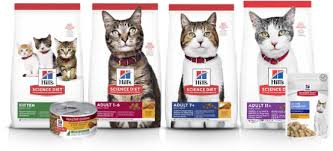 Tavsiye Edilen Kisirlastirilmis Kedi Mama Markalari Kedi Blog