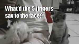 Μούντζα or μούτζα) also called faskeloma (greek: What Did The Five Fingers Say To The Face Owned Com