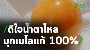 มุกเมโลขนาด 9 กะรัต เจ้าของร้านอาหารในตัวเมืองกระบี่ เก็บไว้นานกว่า 30 ปี เผยพี่ชายไปวางอวนหาปลาในทะเลที่เกาะลันตาติดหอยโข่ง พบมุก. à¸«à¸™ à¸¡à¸£à¸–à¸šà¸£à¸£à¸— à¸ à¹€à¸® à¸¢ à¸™à¸¢ à¸™à¹à¸¥ à¸§ à¸¡ à¸à¹€à¸¡à¹‚à¸¥ à¹à¸— 16 02 64 à¸‚ à¸²à¸§à¹€à¸— à¸¢à¸‡à¹„à¸—à¸¢à¸£ à¸ Youtube