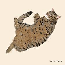 Custom Pet Portrait Pet Portrait From Photo Custom Pet Memorial Drawing Animal Portrait Custom Portrait Dog Portra Cats Illustration Pet Portraits Cat Art